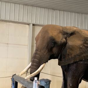 Meet your Posher, Jana